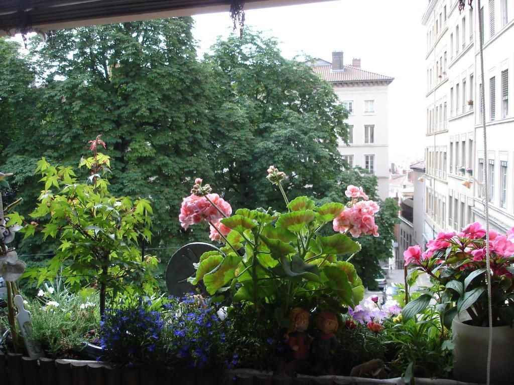 Chambres Les Soyeuses Lyon Zewnętrze zdjęcie